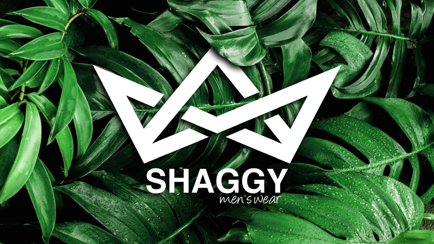 shaggy promo